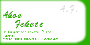 akos fekete business card